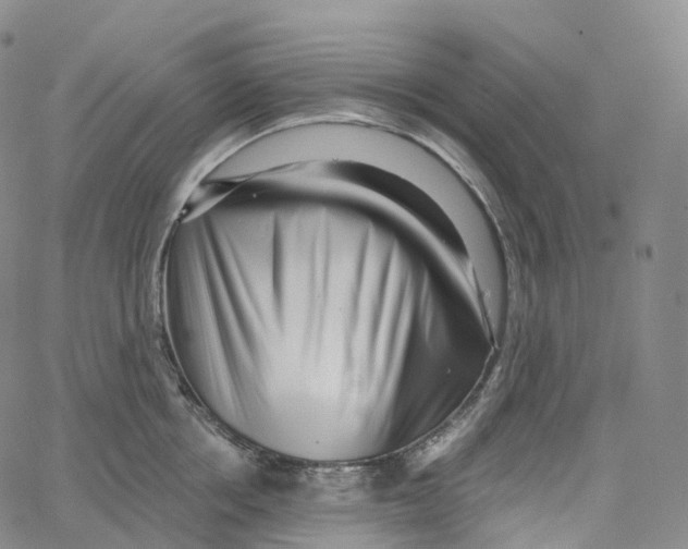 X0000062640858200601181743