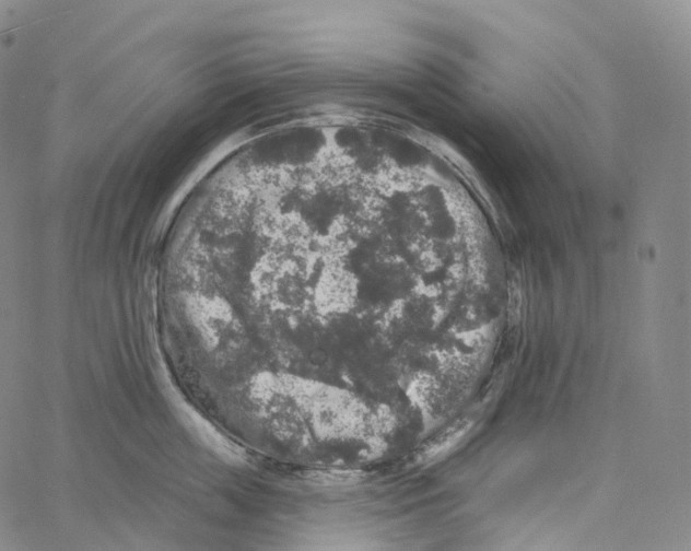 X0000062640859200601181743