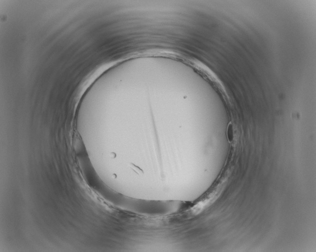 X0000062640860200601181743