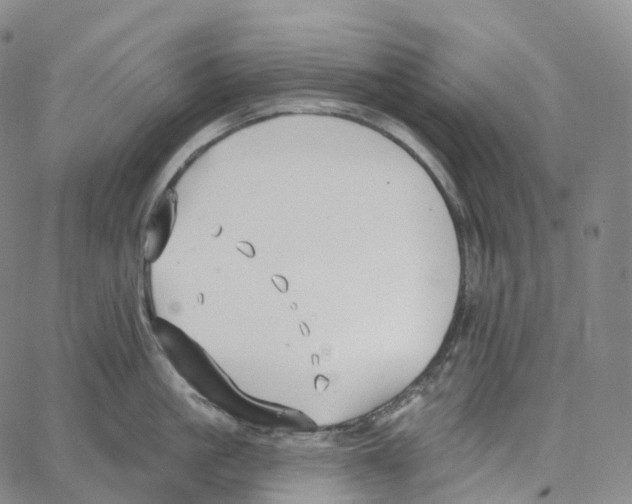 X0000062640861200601181743