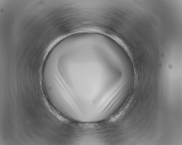 X0000062640862200601181743