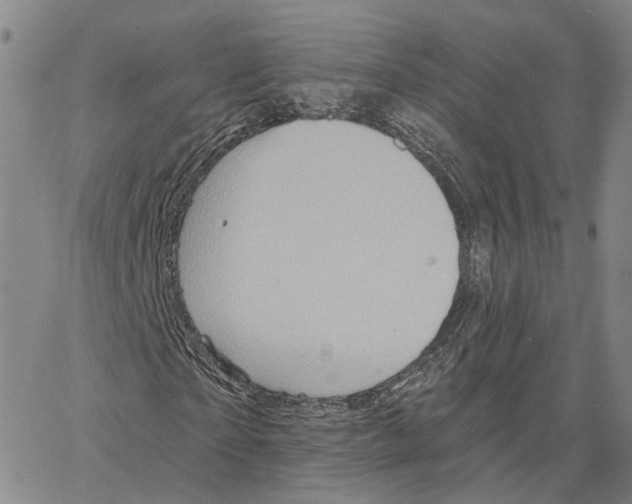 X0000062640865200601181742