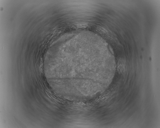 X0000062640866200601181742