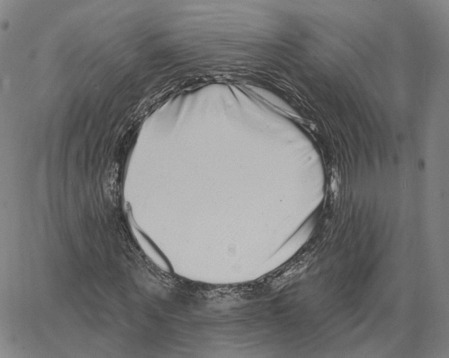 X0000062640867200601181742