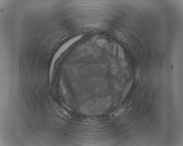 X0000062640868200601181742