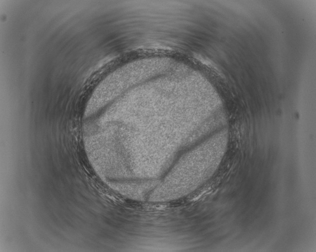 X0000062640870200601181742