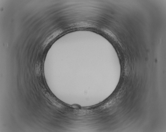 X0000062640873200601181742