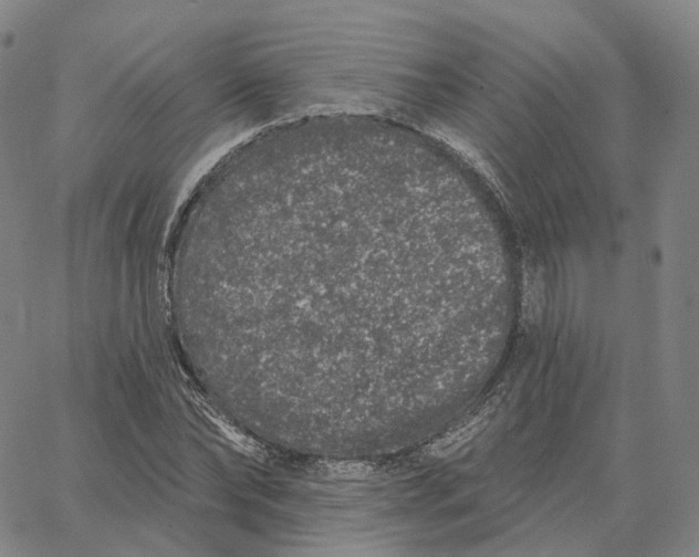 X0000062640878200601181742