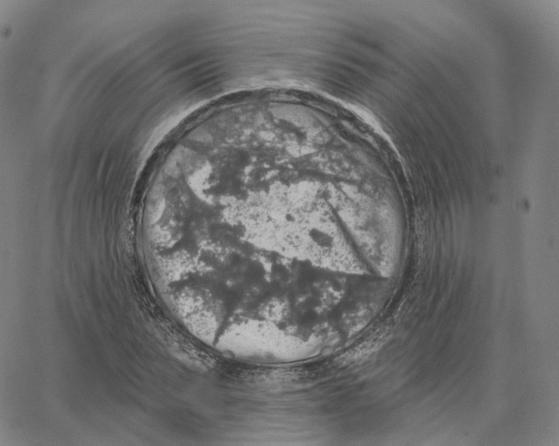 X0000062640879200601181742