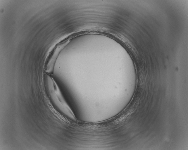 X0000062640880200601181742