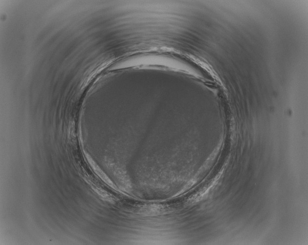 X0000062640881200601181742