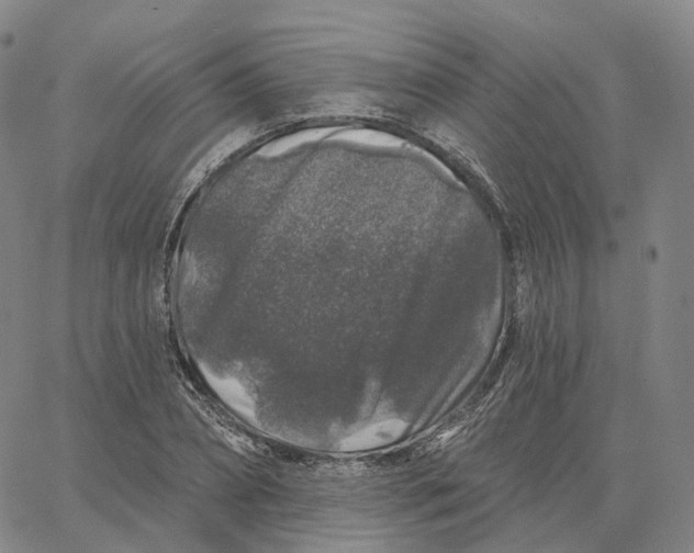 X0000062640882200601181742