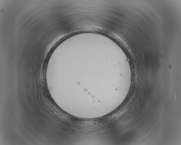 X0000062640883200601181742