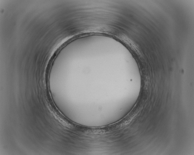 X0000062640884200601181742