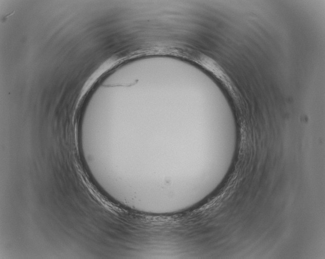 X0000062640886200601181742