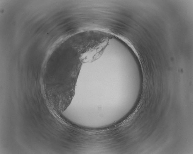 X0000062640887200601181742