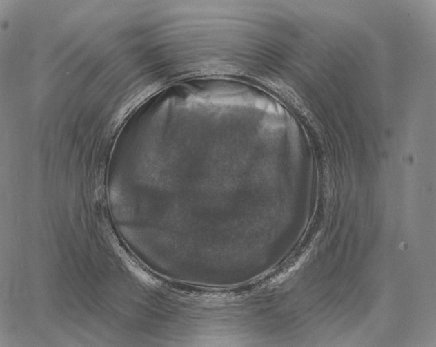 X0000062640889200601181742