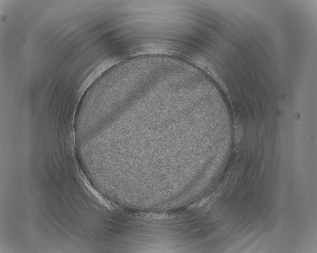 X0000062640890200601181742