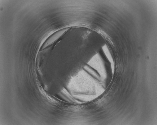 X0000062640892200601181742