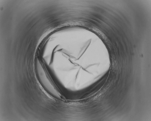 X0000062640894200601181742