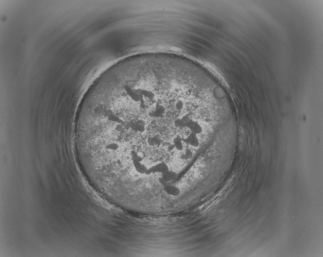 X0000062640895200601181742