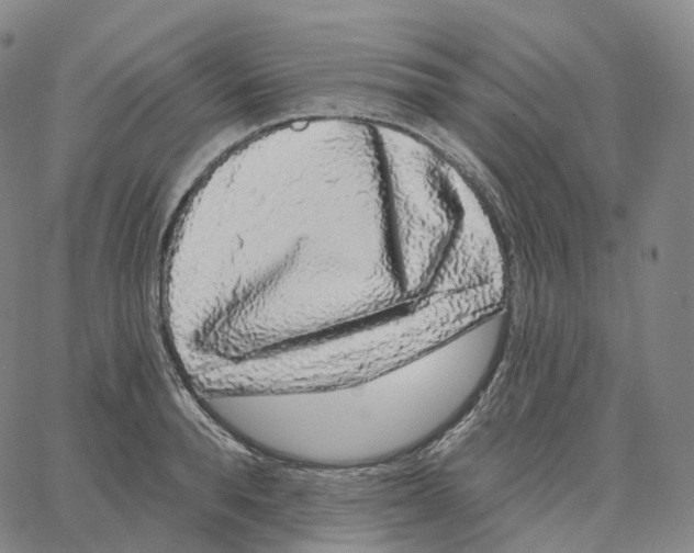 X0000062640896200601181742