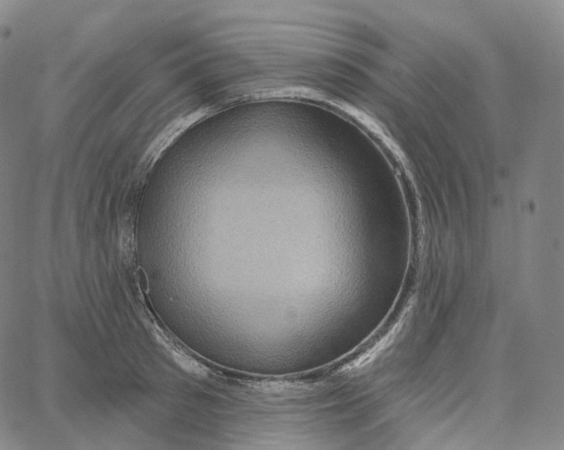 X0000062640897200601181742