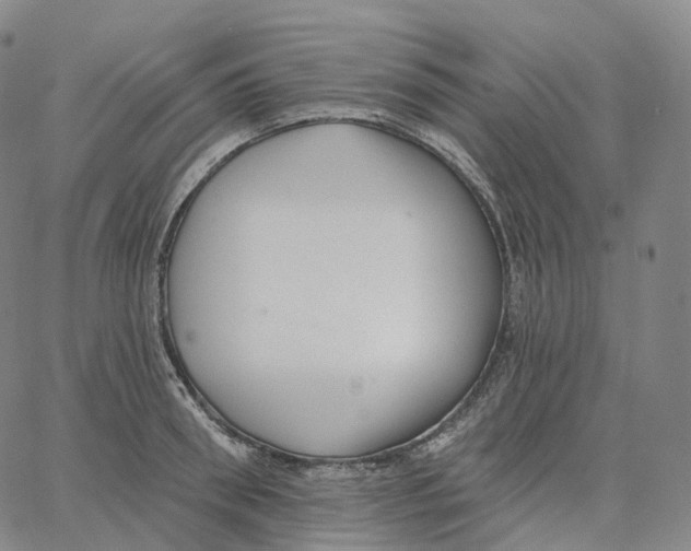 X0000062640898200601181742