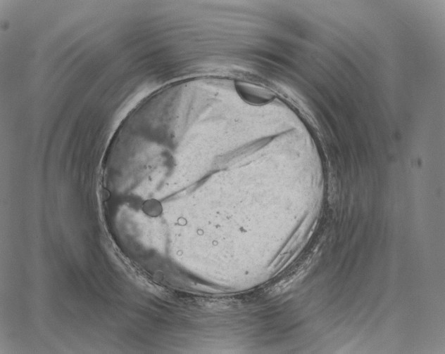 X0000062640899200601181742