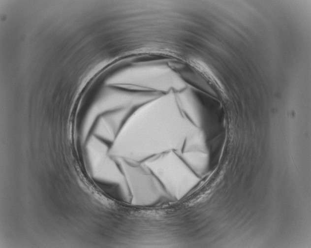 X0000062640900200601181742