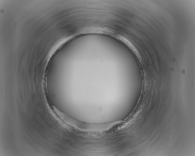 X0000062640901200601181742