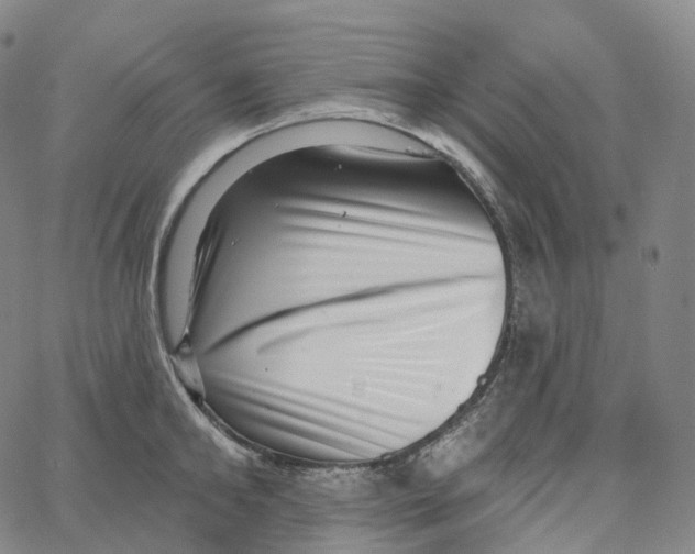 X0000062640902200601181742