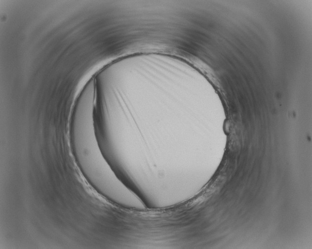 X0000062640904200601181742