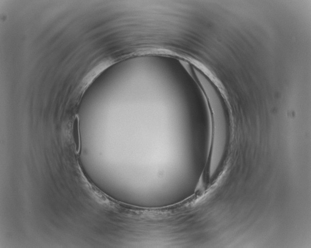 X0000062640905200601181742