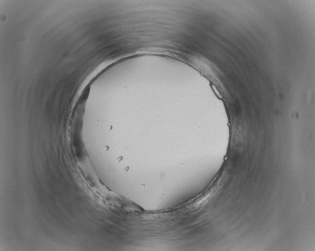 X0000062640908200601181742