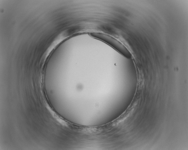 X0000062640909200601181742