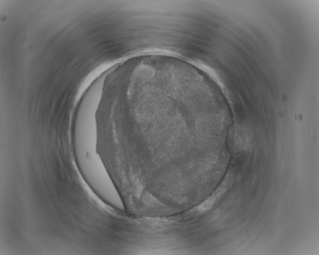 X0000062640910200601181742