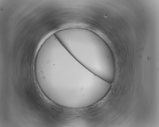 X0000062640912200601181741