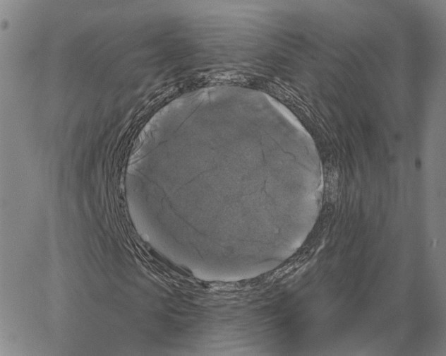 X0000062640913200601181741