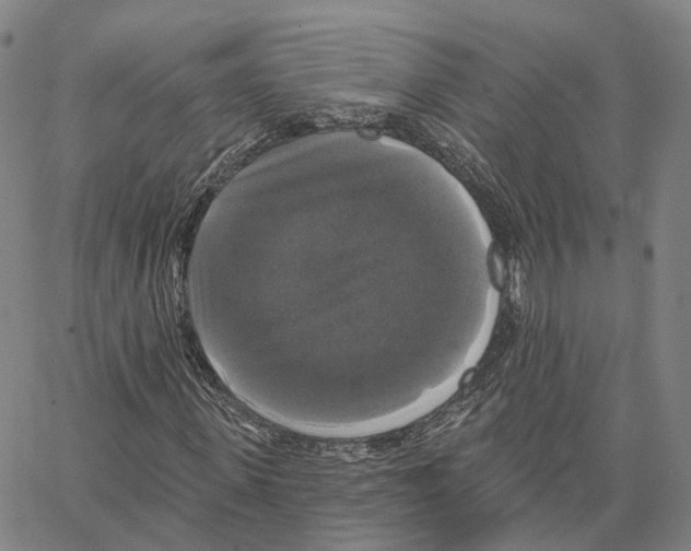 X0000062640915200601181741