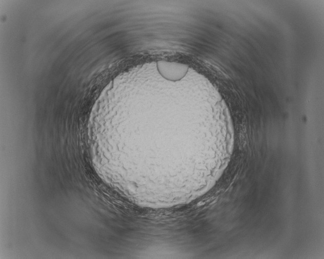 X0000062640917200601181741