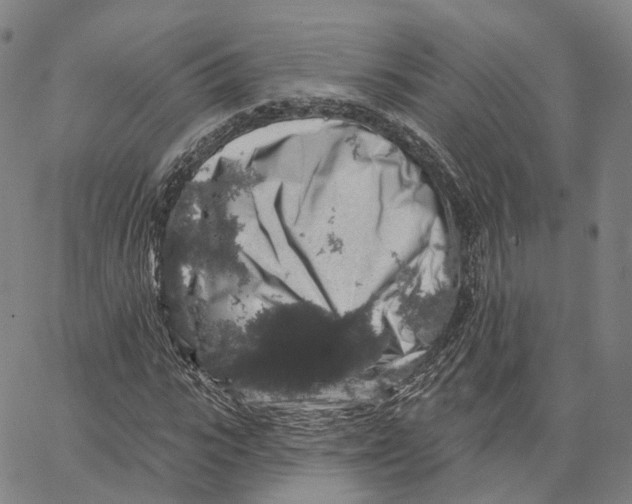 X0000062640919200601181741