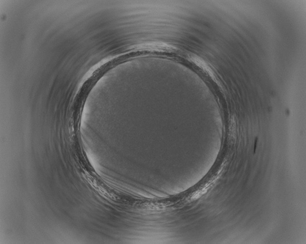 X0000062640923200601181741