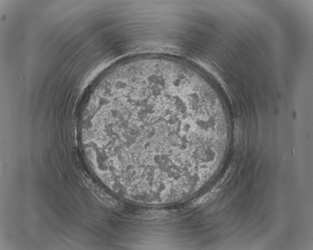 X0000062640925200601181741