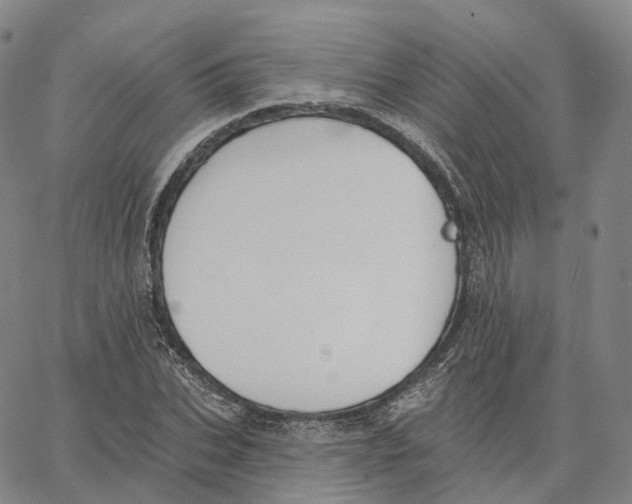 X0000062640927200601181741