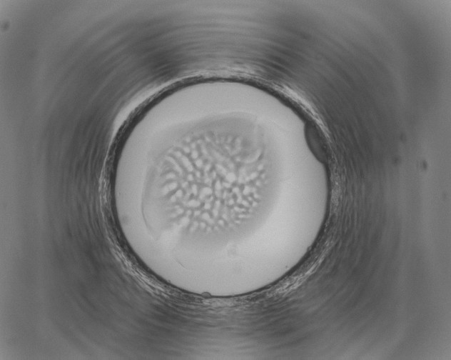 X0000062640928200601181741