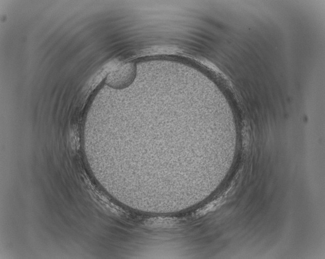 X0000062640929200601181741