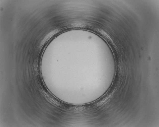 X0000062640930200601181741