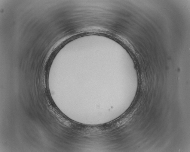 X0000062640931200601181741