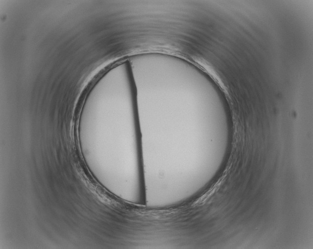 X0000062640932200601181741